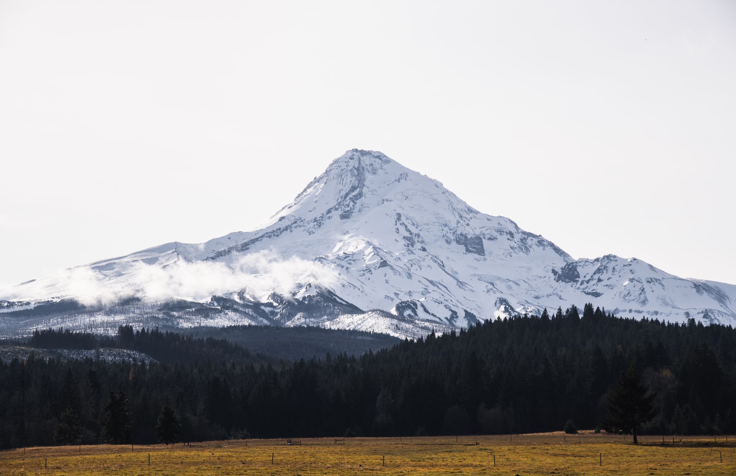 A heavily snow-covered Mount Hood rising above the forest